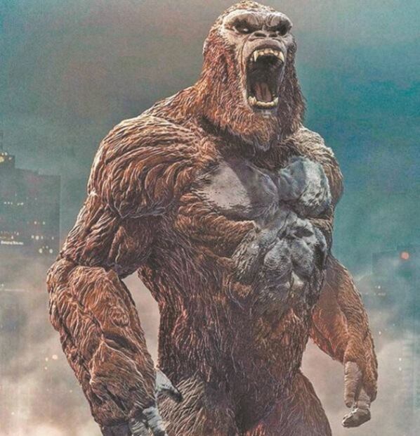 Lo imperdible en 2021, ante un panorama incierto