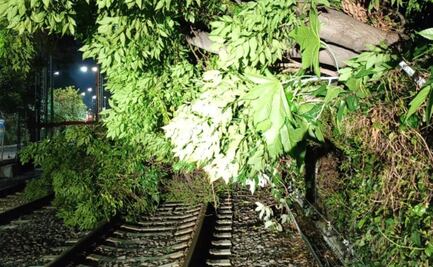 Tren Ligero reanuda servicio completo; retiran árbol que bloqueó vías entre Tepepan y La Noria