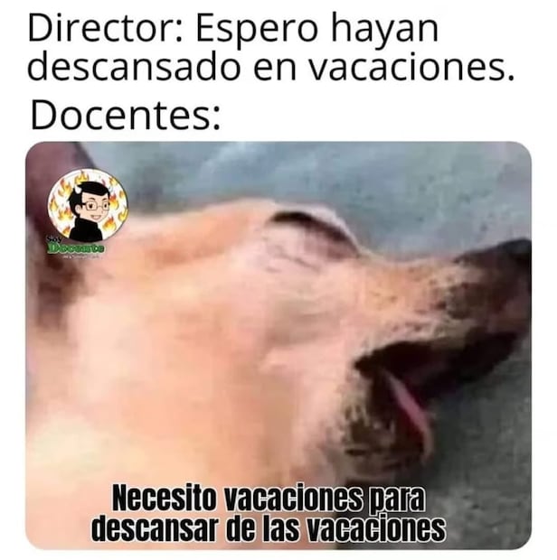 Los mejores memes que dejó el inicio del ciclo escolar 2026-2027. Foto: Redes sociales