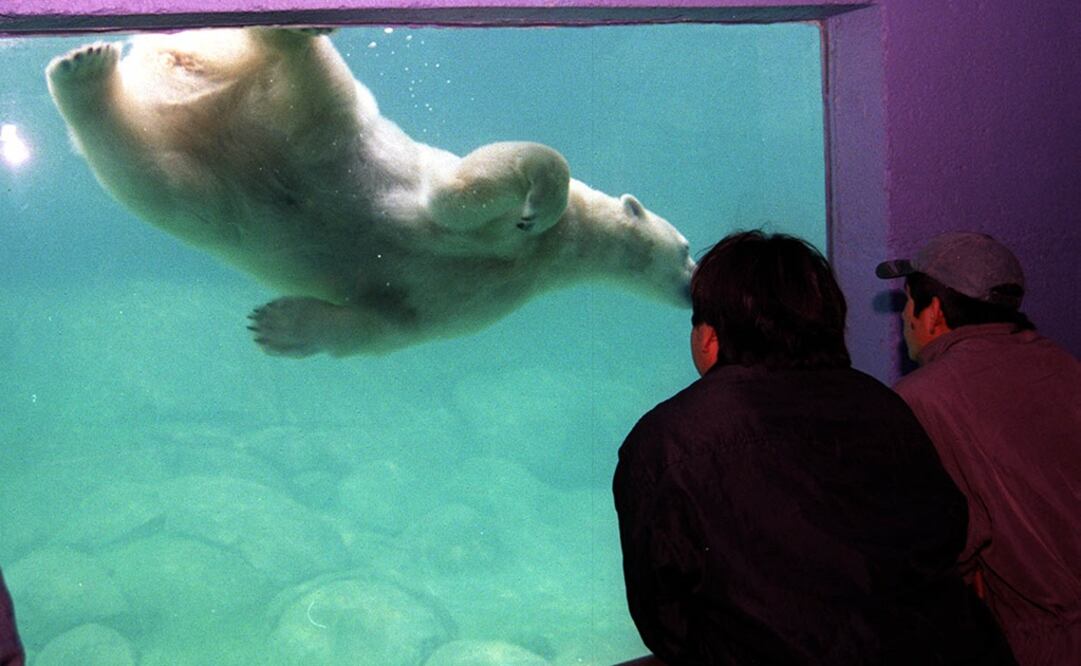 (Foto: Archivo/El Universal) 