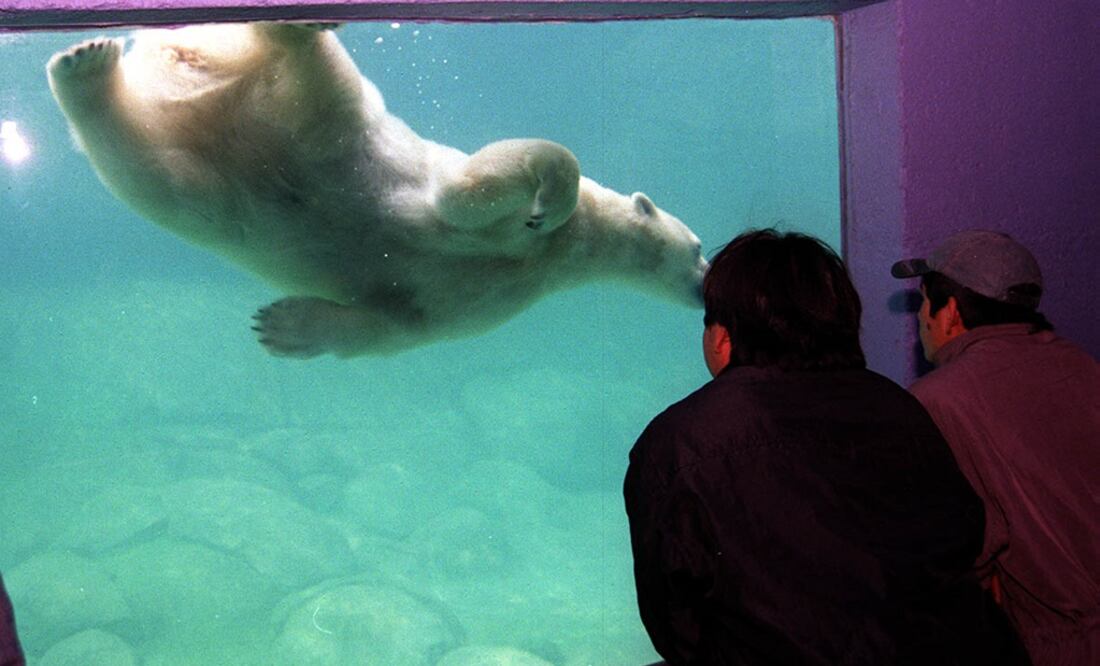 (Foto: Archivo/El Universal)