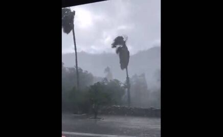 Sin luz más de 200 mil personas por tormenta "Olaf" en Baja California Sur, reporta CFE