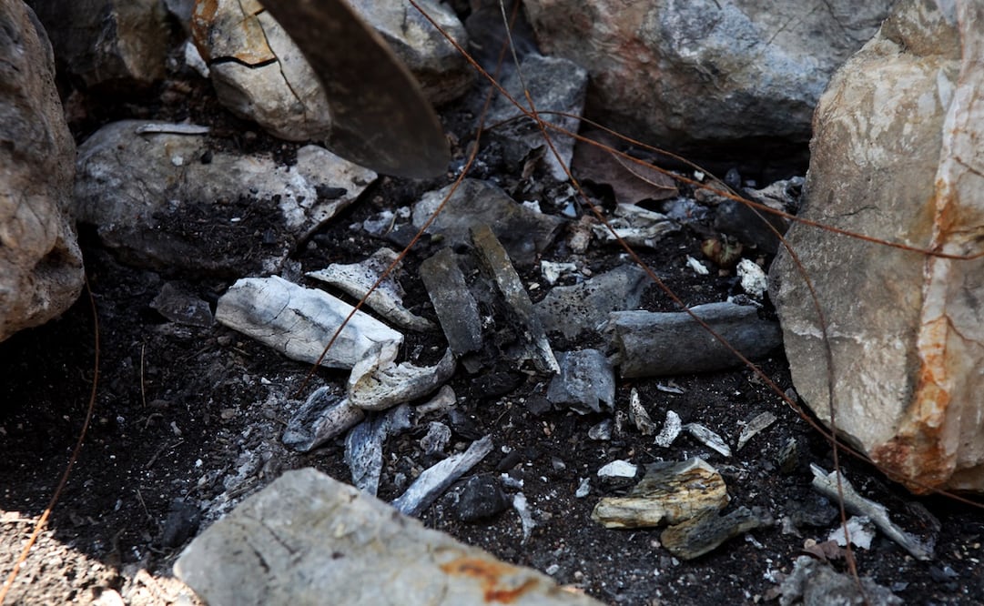 Foto: Archivo / EL UNIVERSAL