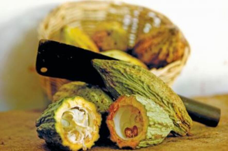 ¿Conoces las 16 cosas que sólo pueden producirse en México?