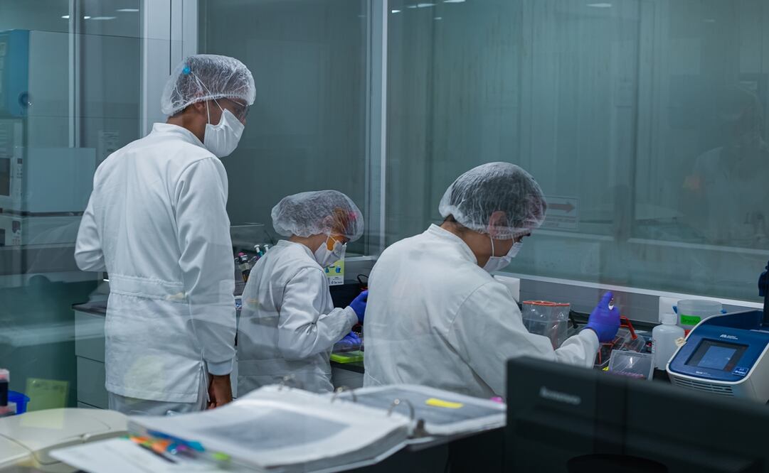 Foto: Cortesía Avimex