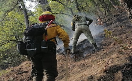 Extinguen tres incendios en Nuevo León, cinco permanecen activos