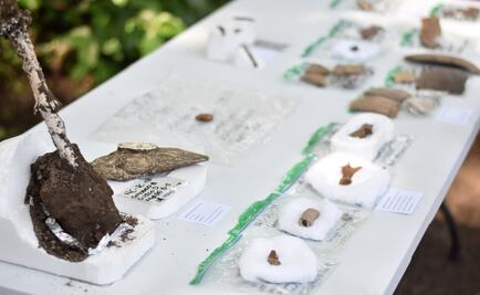 El Salvador desentierra vasijas y huesos de animales en la "Pompeya de América"