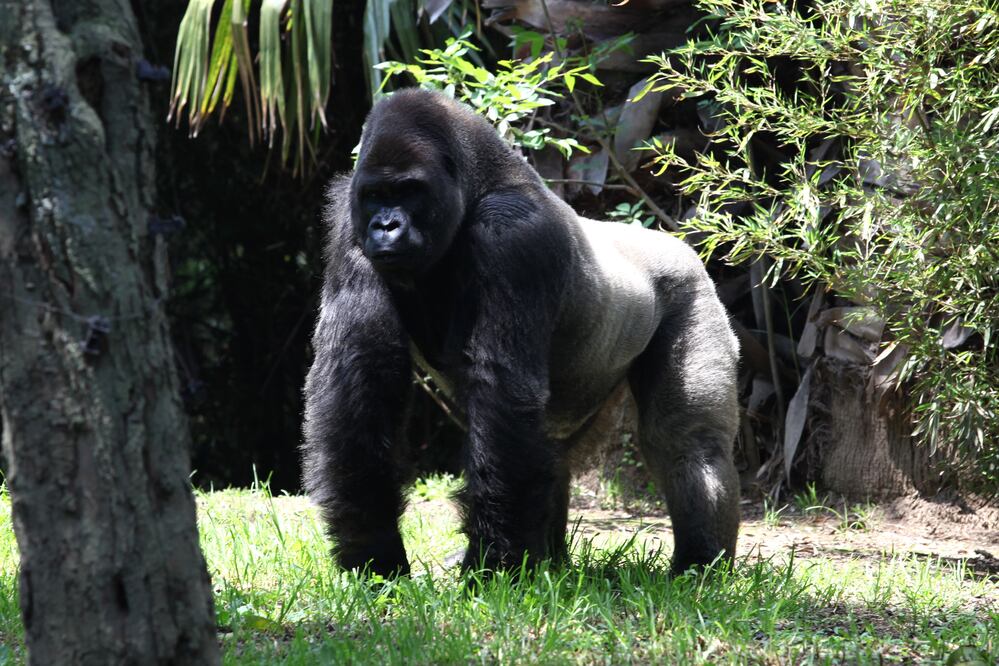 ARCHIVO / EL UNIVERSAL