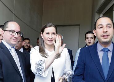 Martha Érika saca su último as; llega al TEPJF