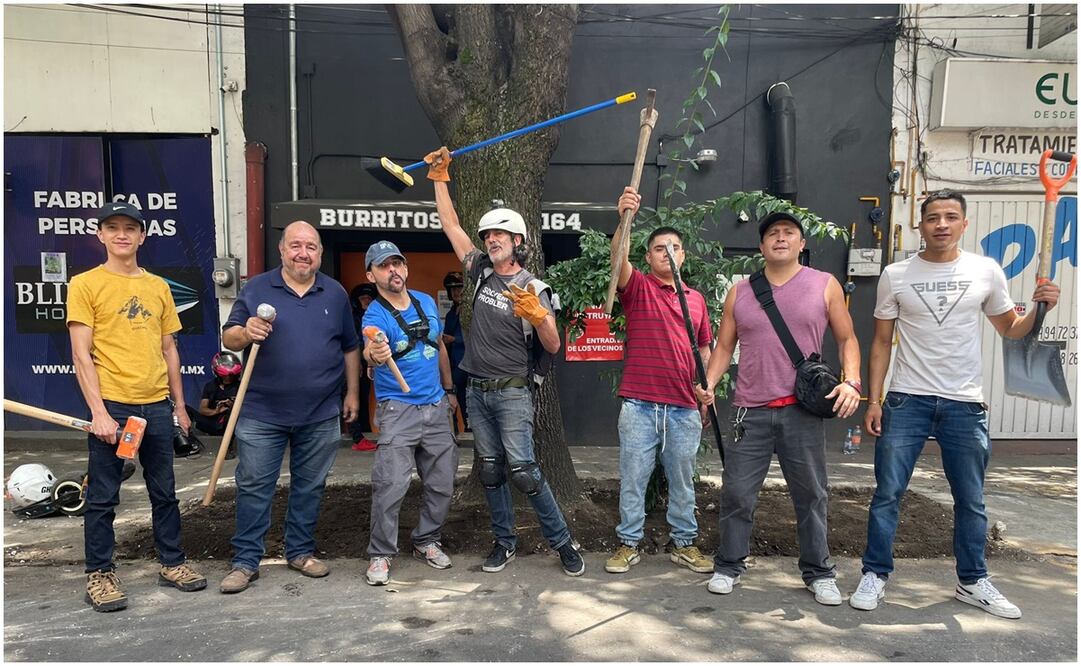 Retiran media tonelada de cemento a un fresno de 50 años. Foto: @supercivicosmx