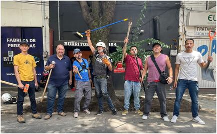 ¡No más maltrato a la naturaleza! Los Supercívicos arrancan la campaña “Ejército de Árboles"; ¿de qué va esta iniciativa?