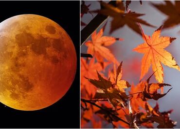 Eclipse Lunar, Equinoccio de Otoño y otros eventos astronómicos de septiembre 2024