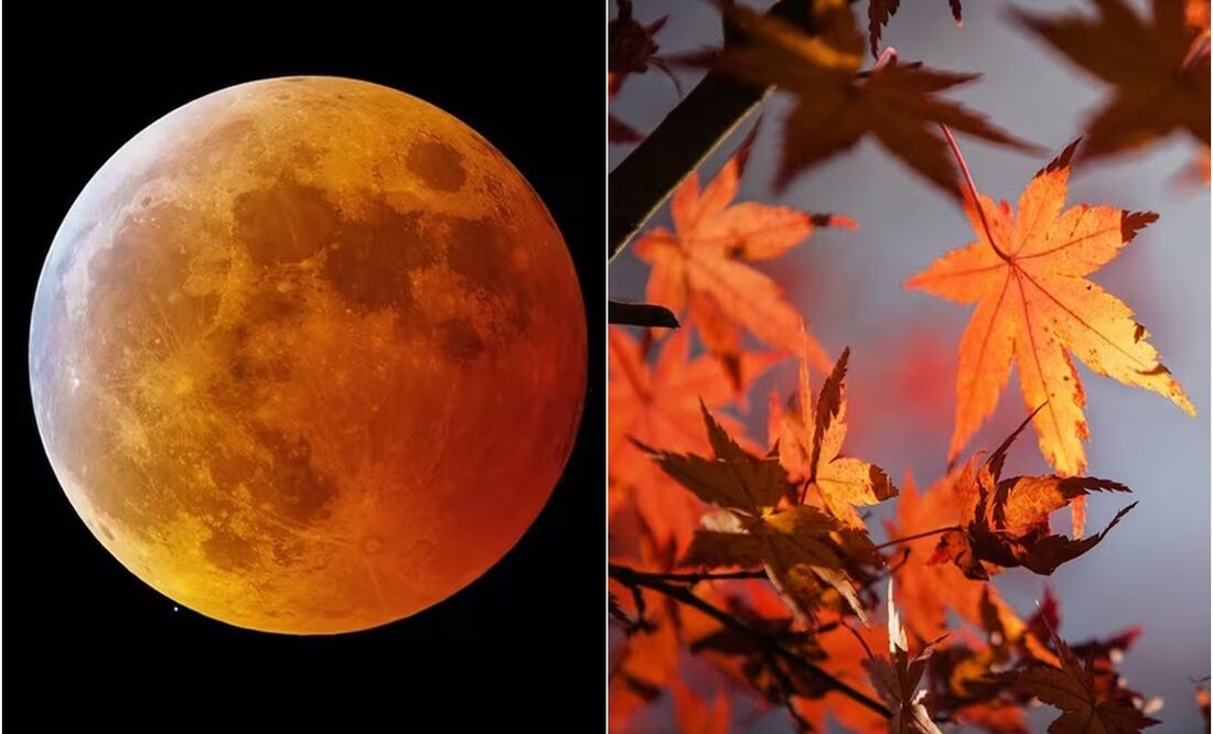 El calendario de septiembre promete interesantes eventos astronómicos. Fotos: Pixabay