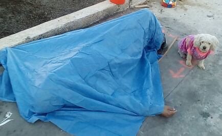 Tras posible infarto, perrito resguarda cadáver de su dueño en V. Carranza