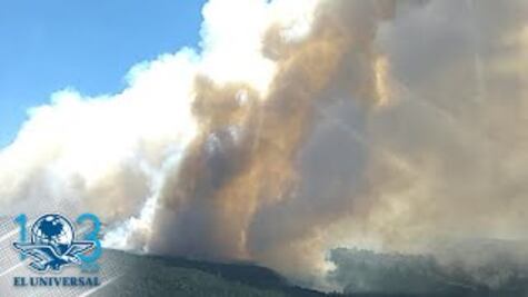Incendio forestal consume cientos de hectáreas en Veracruz