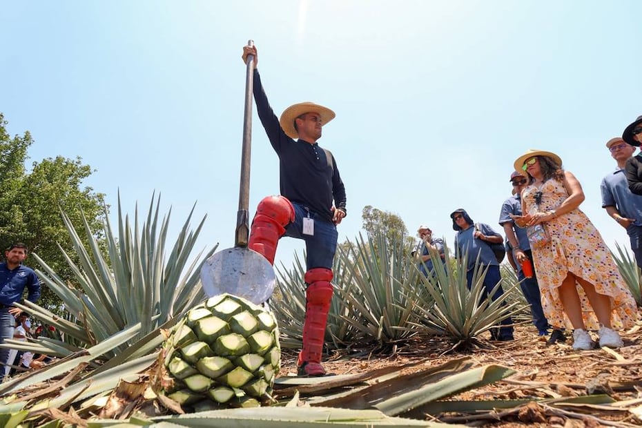 Foto: Tequila Express