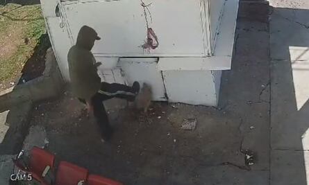 Trabajador que pateó y lanzó roca a un perrito “será sancionado”, dicen autoridades de Naucalpan