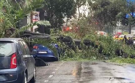 VIDEOS Y FOTOS: Árbol cae sobre auto en la colonia Nápoles; mujer pierde la vida y su bebé sobrevive