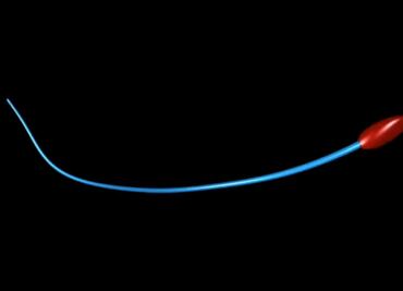 Así descubrieron científicos mexicanos el verdadero movimiento de espermatozoides