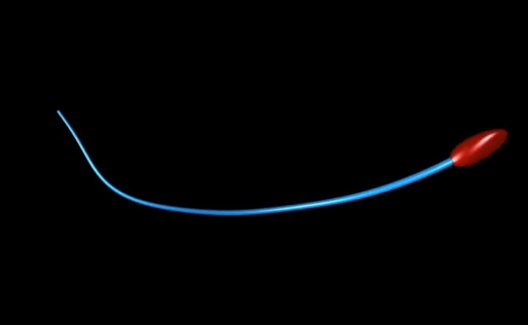 Foto: Captura YouTube - Polymaths Lab - University of Bristol