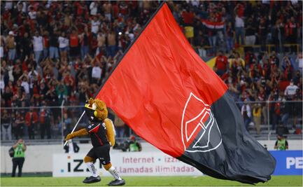 Una academia domando felinos