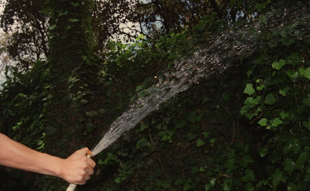 Fotografía: Archivo /EL UNIVERSAL