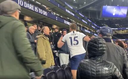 Jugador del Tottenham multado por agredir a aficionado