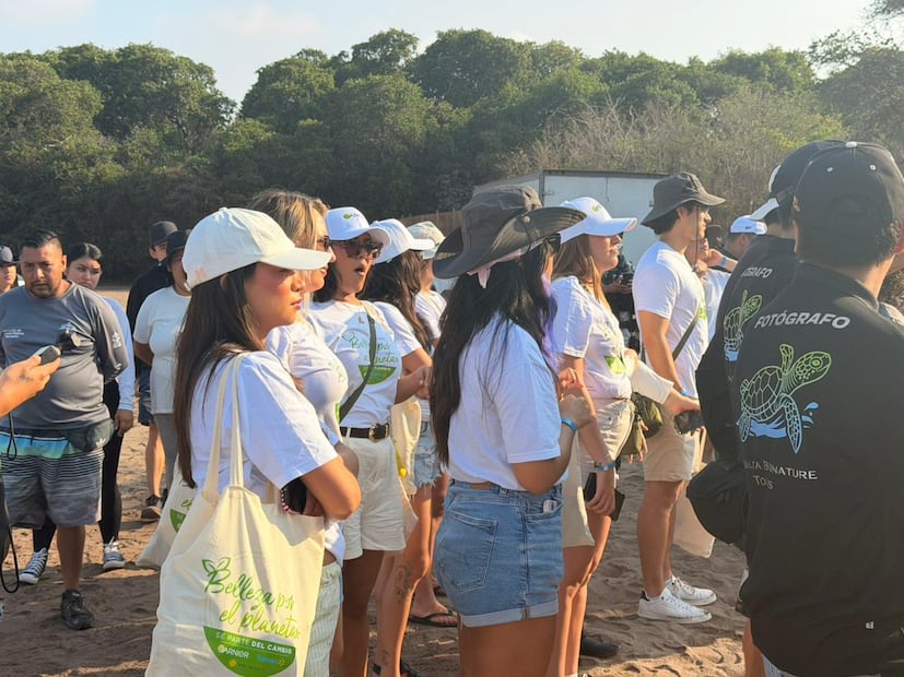 Así fue la iniciativa de Garnier en Puerto Vallarta y lo que realmente se encontró. Foto: Abril Macias| El Universal