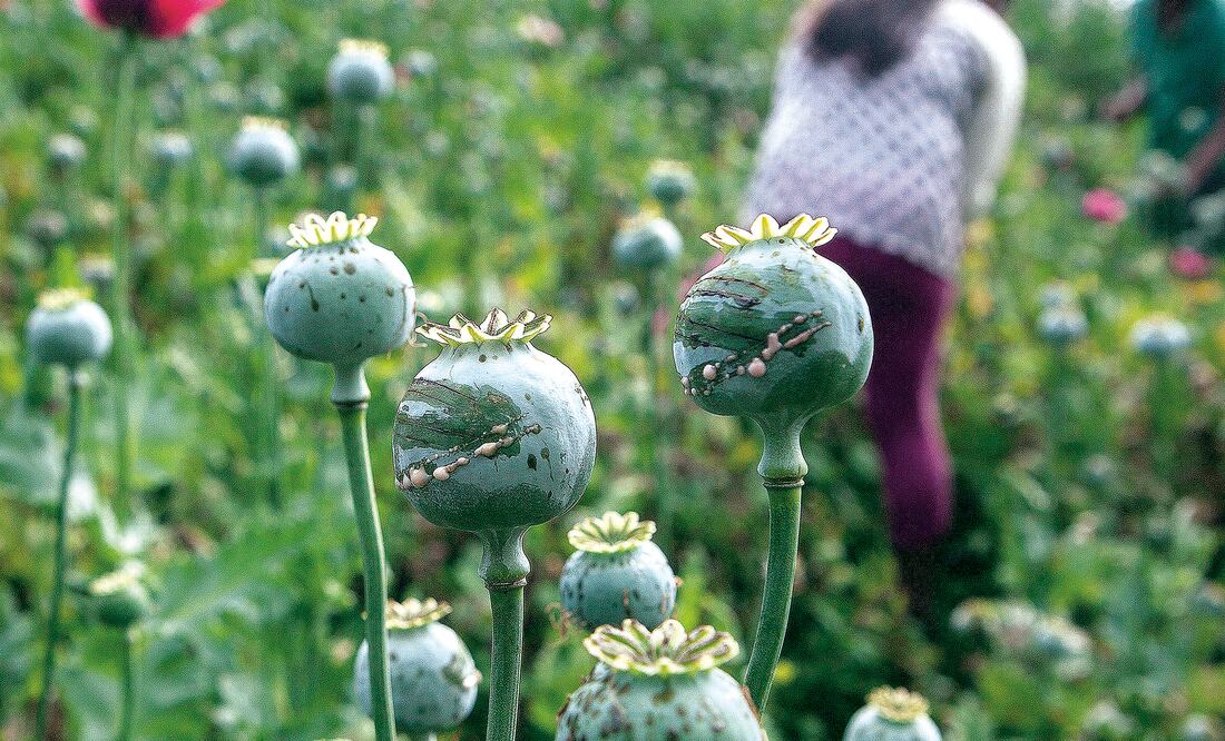 Foto: Archivo EL UNIVERSAL