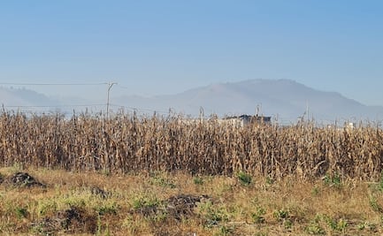 Activan contingencia ambiental en Toluca y Santiago Tianguistenco por alta concentración de contaminantes