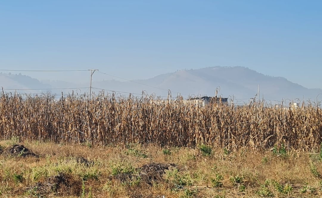 Foto: Claudia González/EL UNIVERSAL