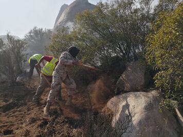 Controlan entre 60 y 70 por ciento incendios en Ensenada y Tecate, Baja California