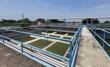 Ejidatarios de Oaxaca y Veracruz rechazan plan de Corredor Interoceánico