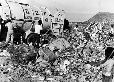 Las manos que seleccionan la basura