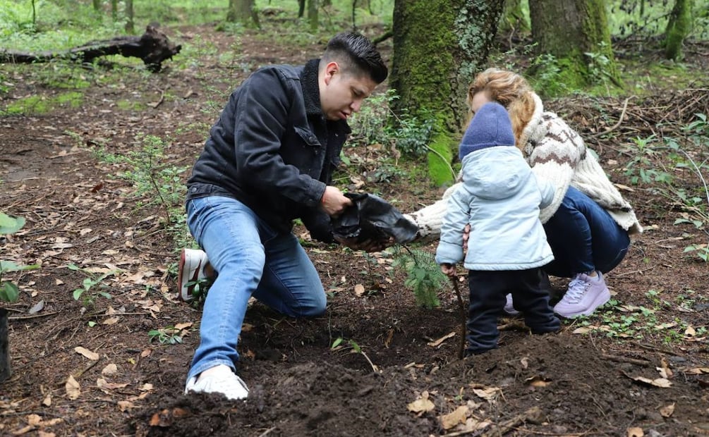 Entre las acciones que contribuyeron a la distinción está la jornada de reforestación en Santa Rosa Xochiac, en julio del año pasado. | Foto: Especial.