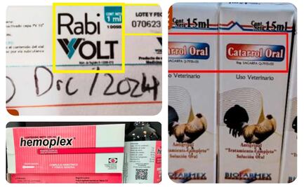 Alerta Senasica por venta irregular de medicamentos falsificados de uso animal; pide reportar su distribución