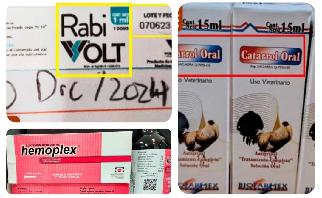La Senasica alertó que los medicamentos Catarrol Oral, Hemoplex y Rabi Volt, se encuentran en circulación irregular y son usados para los animales (13/08/2025). Foto: X (@Agricultura_mex)