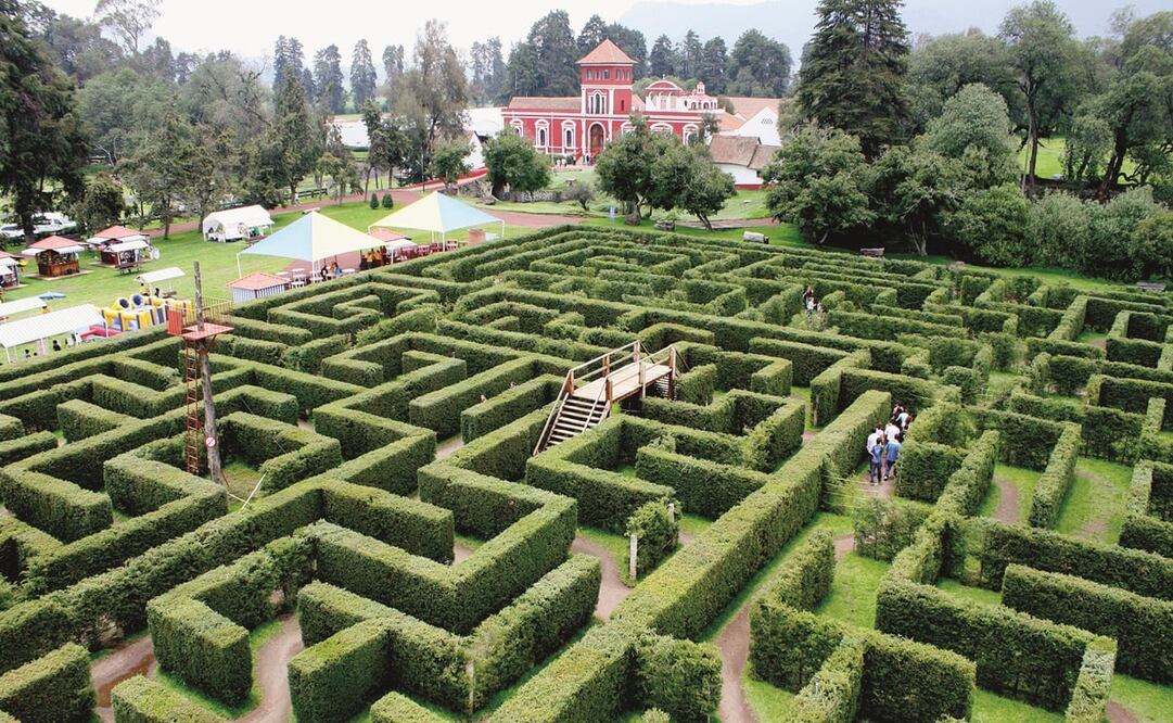 El laberinto inglés en uno de los principales atractivos de Hacienda Panoaya. Tiene más de 500 metros cuadros. Foto: Facebook Hacienda Panoaya