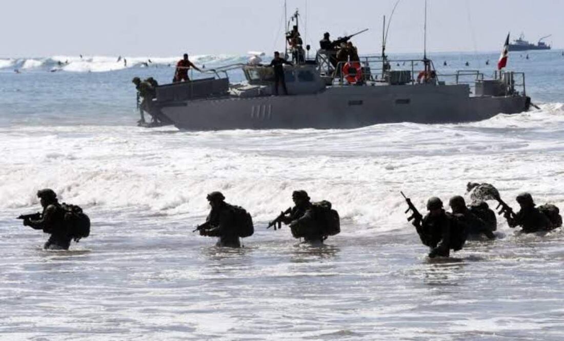 anfibio \'Fénix 2025\' anfibio \'Fénix 2025\'