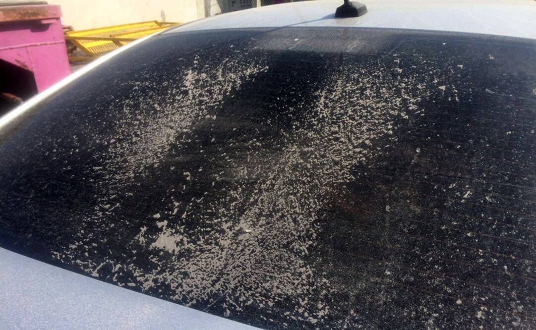 Foto: Archivo/ EL UNIVERSAL                                