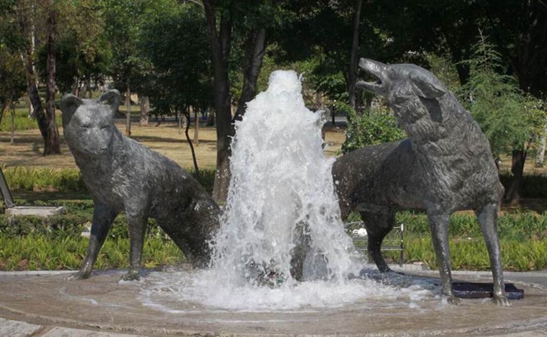 El candidato de la alianza PRD y PT José Valentín Maldonado, va a la cabeza en intención de voto en la elección de jefe de gobierno en la delegación Coyoacán