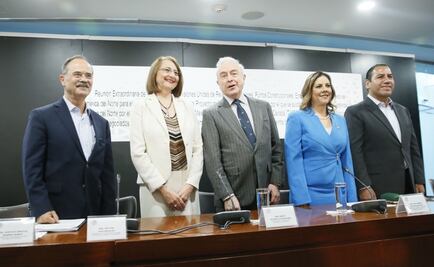 Inicia en comisiones del Senado el análisis del T-MEC