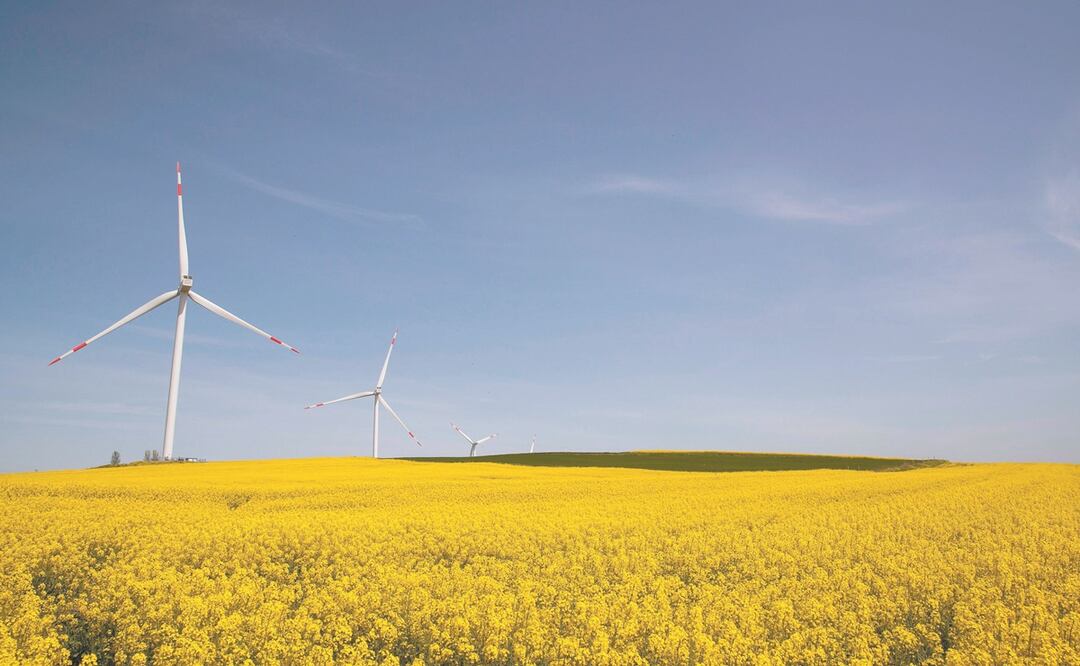 Foto: Archivo/EL UNIVERSAL