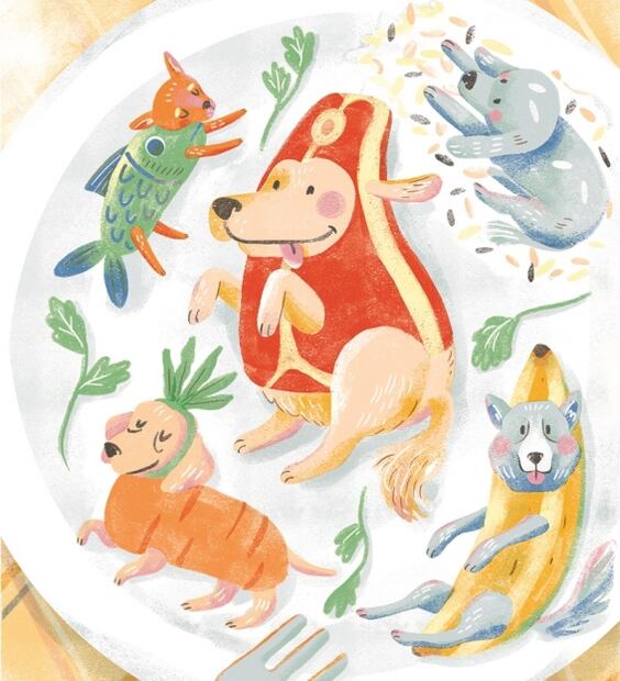 ¿Le das sobras y croquetas? ten cuidado, tu mascota puede vivir menos