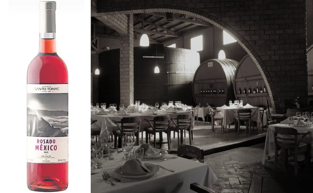 Aprender sobre vino mexicano, es ideal para cualquier sommelier. Foto: Especial