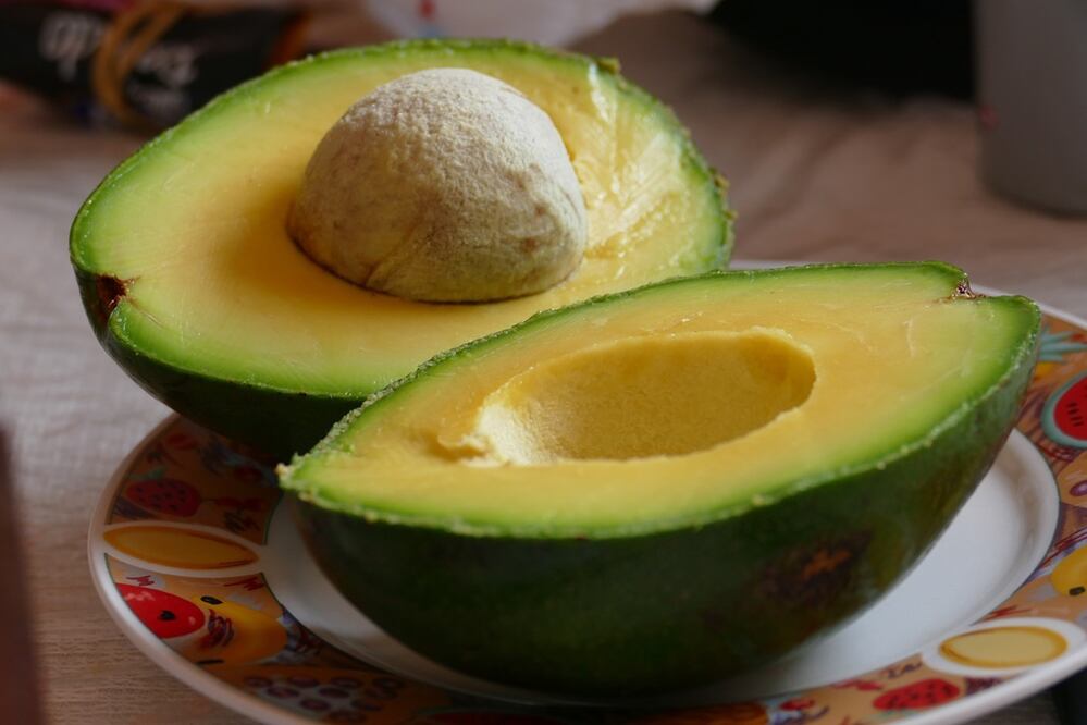 Consumir aguacate regula el colesterol / Foto: Pixabay