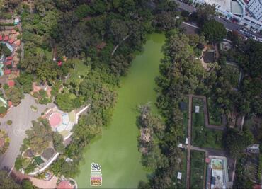 ¿Cómo es el Zoológico de Morelia, lugar donde murió un cachorro de jaguar tras el desfogue de agua?