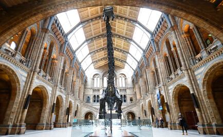 Esqueleto de dinosaurio inicia gira en Reino Unido