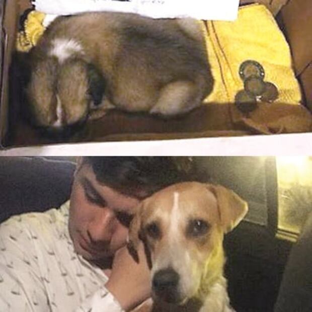 El Foco. Vaya semanita para no olvidar... Cuando pase el temblor