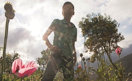 Los niños del opio en Guerrero